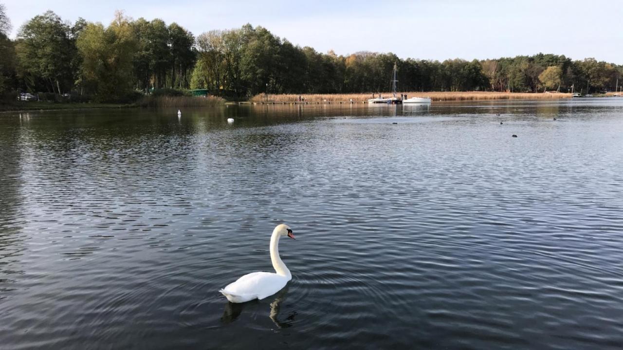 Domek Frania尼苏利采 外观 照片